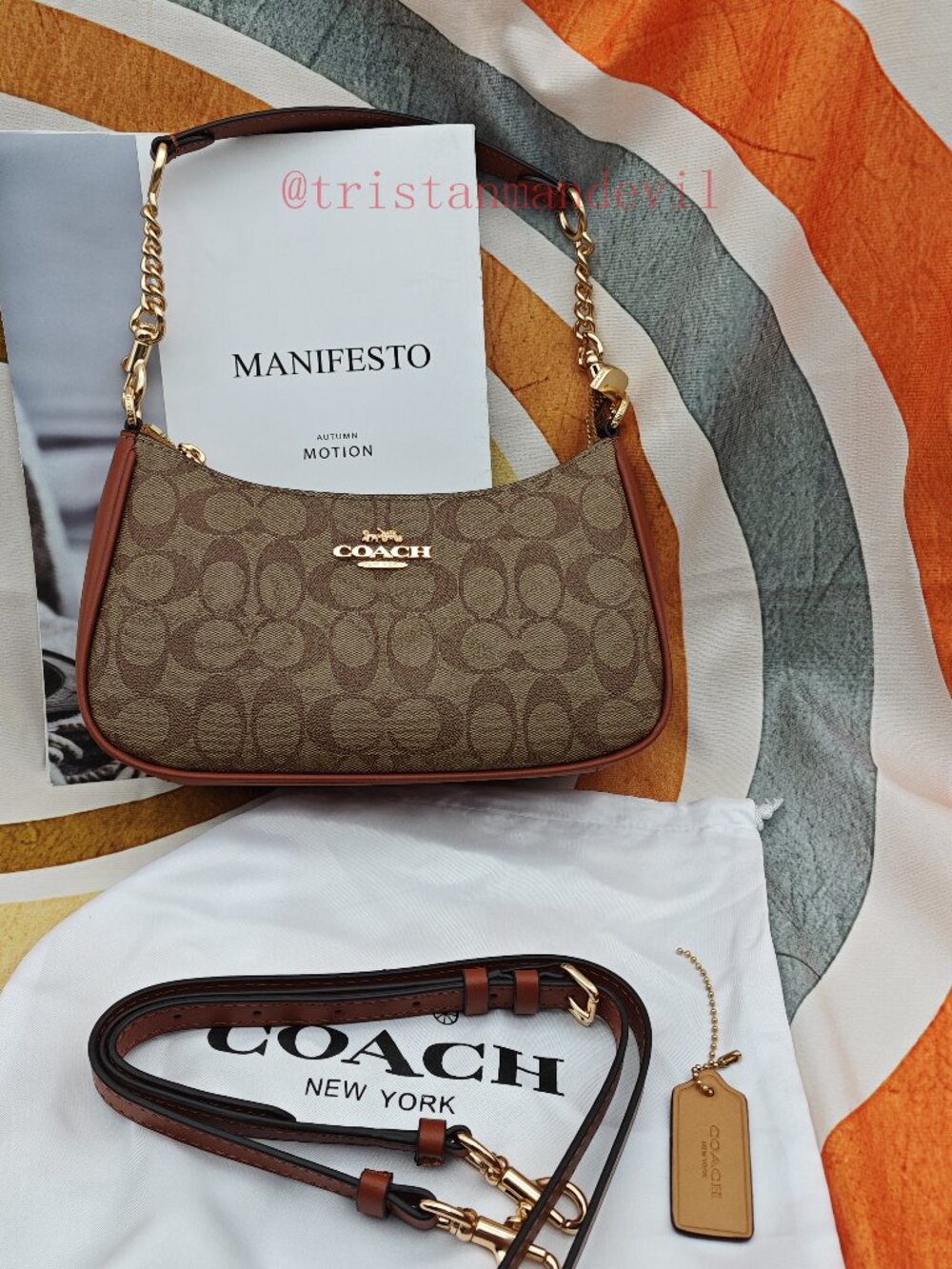 Coach Teri Shoulder Bag In Signature Canvas brown